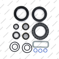 Комплект прокладок и сальников (Ford, Mercedes, Renault)