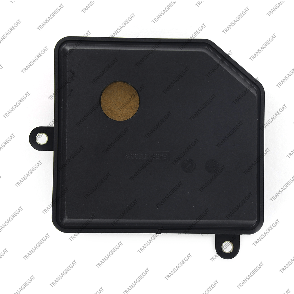 Фильтр (пластиковый, два выступа под болты одинаковой длины)