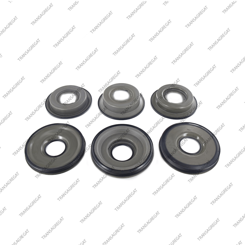 Комплект поршней (6шт., обрезиненные)*