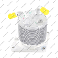 Теплообменник (тип 2, Nissan, Renault, с 2-мя выходящими трубками)*